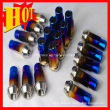 Customized Gr 5 Titanium Alloy Bolts Screws